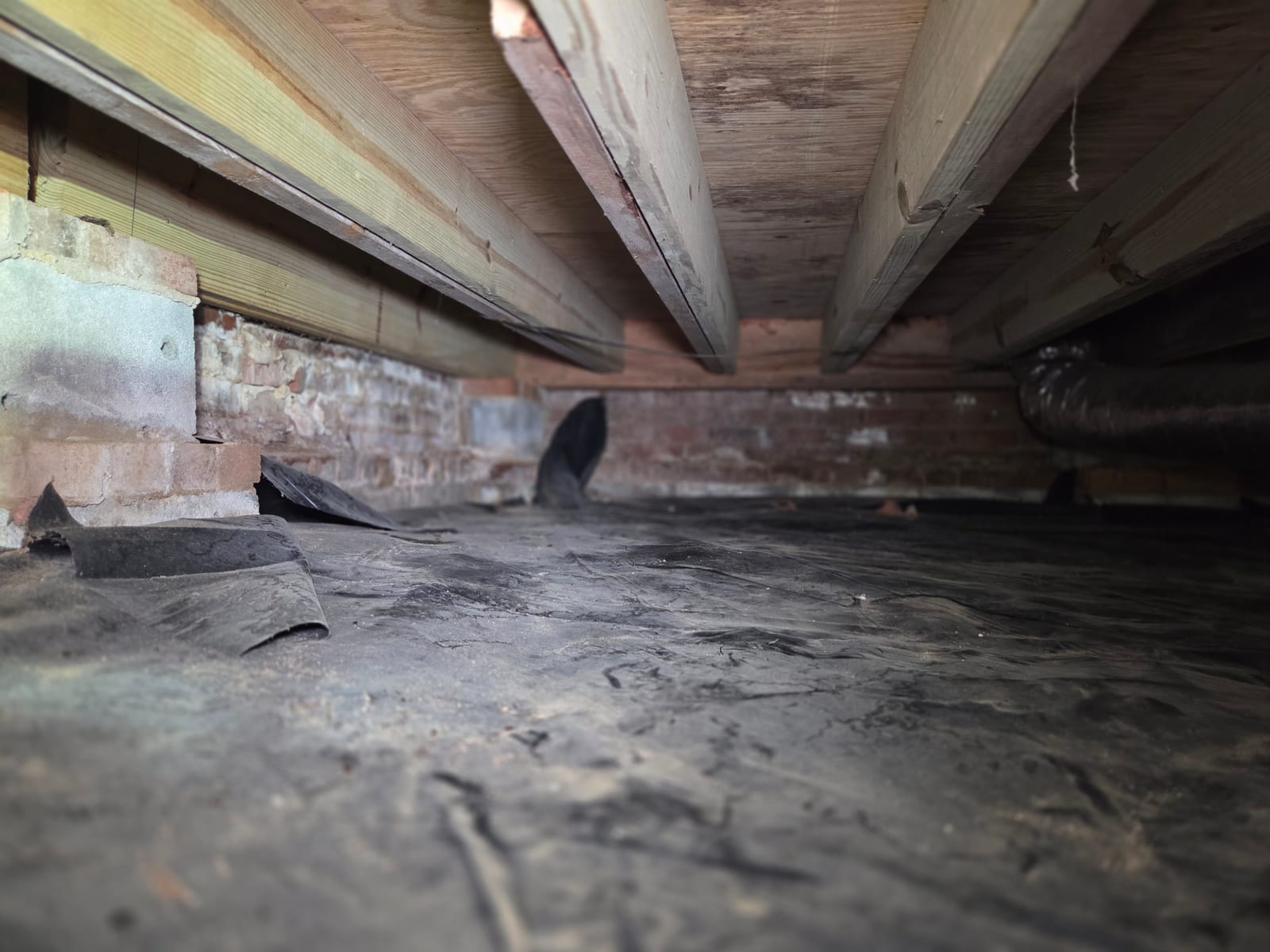 Charlotte crawl space before Carolux, bare dirt floor exposed to ground moisture